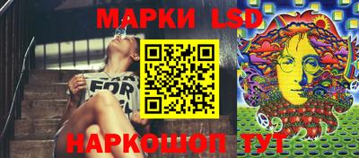 амф Сланцы