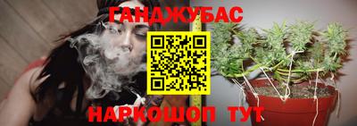 гашик Славянск-на-Кубани