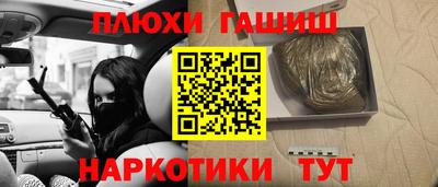 амф Сланцы